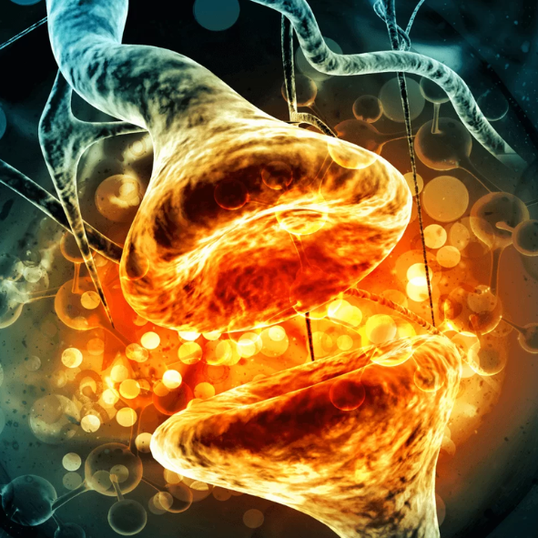 Molécula DHT - causa da queda capilar