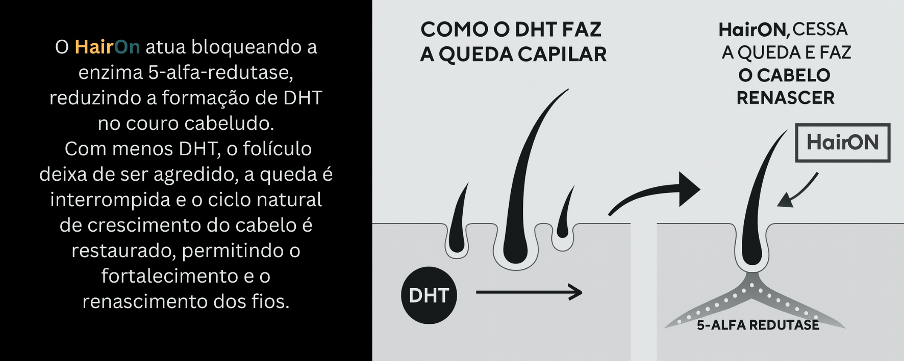Infografico mostrando como o HairOn age contra a queda capilar