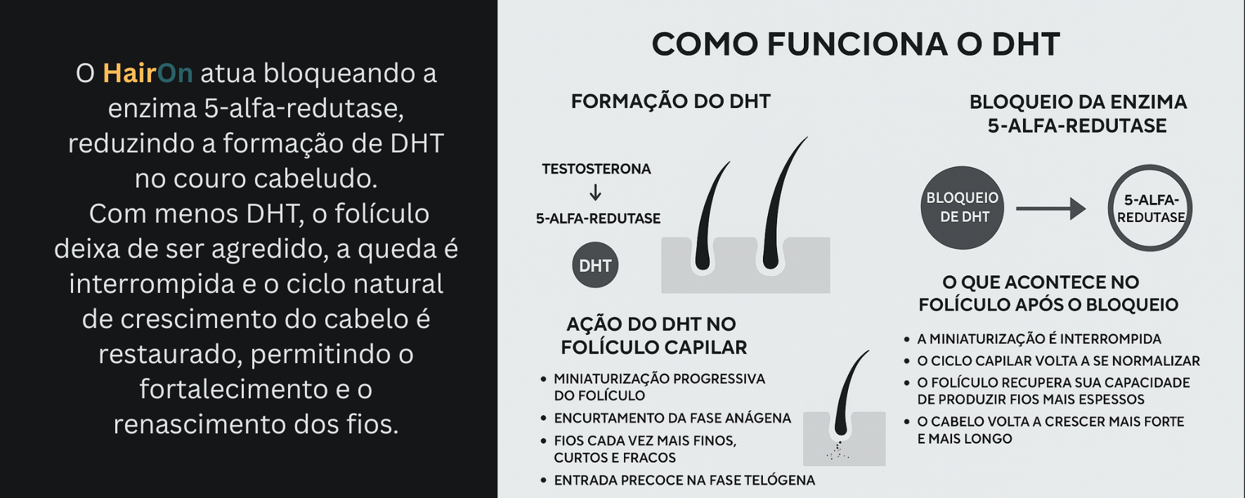Infografico explicando como o DHT causa a queda capilar